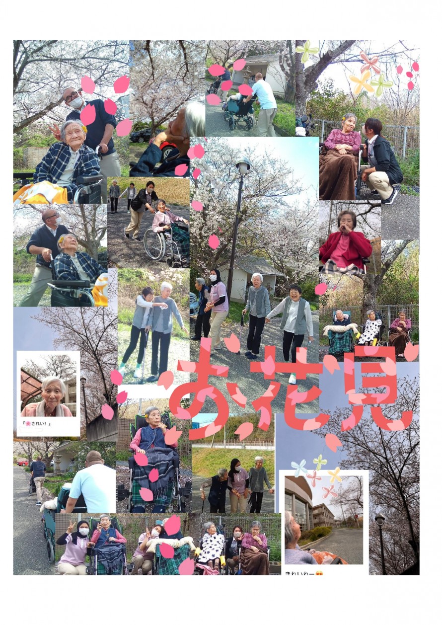 12e941224dcf31cc677b858b7c1ffc55